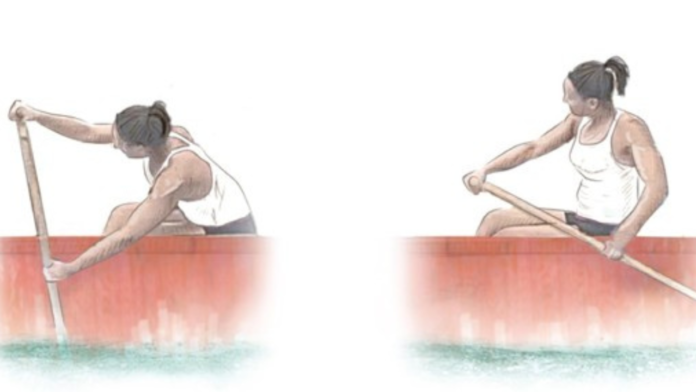 Dragon Boat Paddling