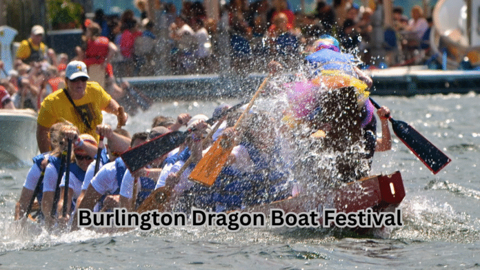 Burlington Dragon Boat Festival