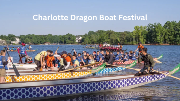charlotte dragon boat festival