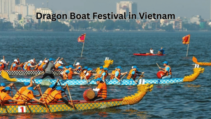 Dragon Boat Festival Vietnam